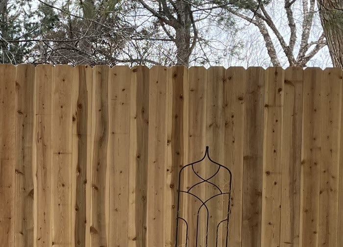 Recent cedar privacy fence install